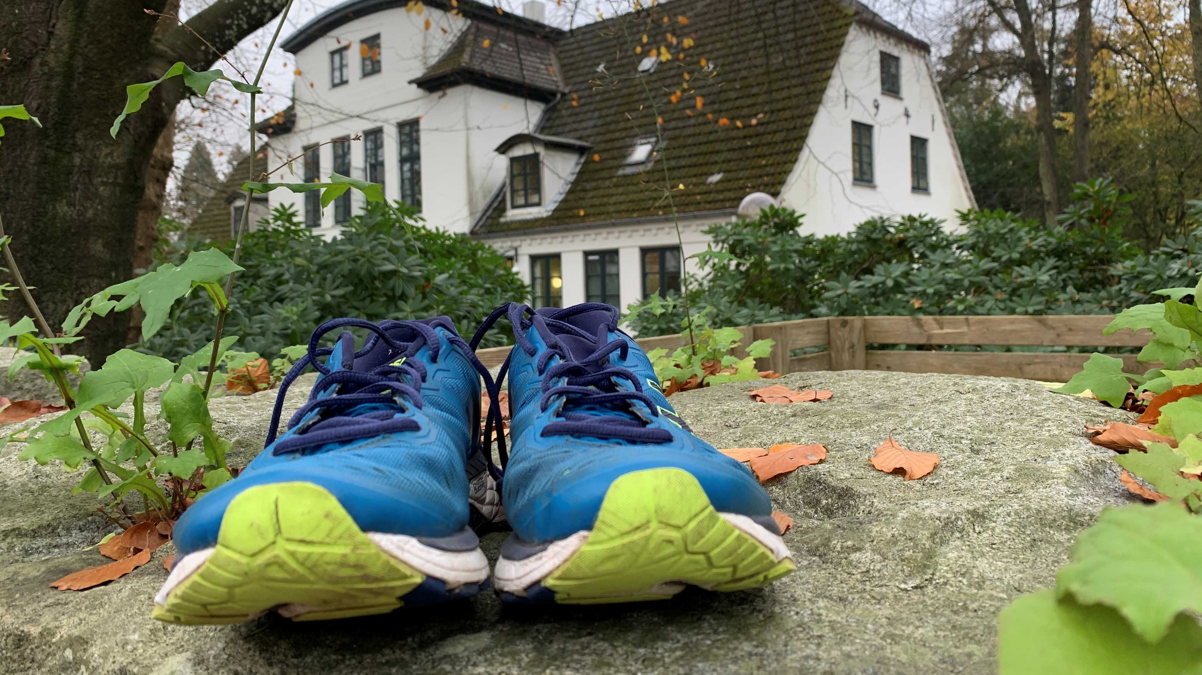 Adventslaufweb